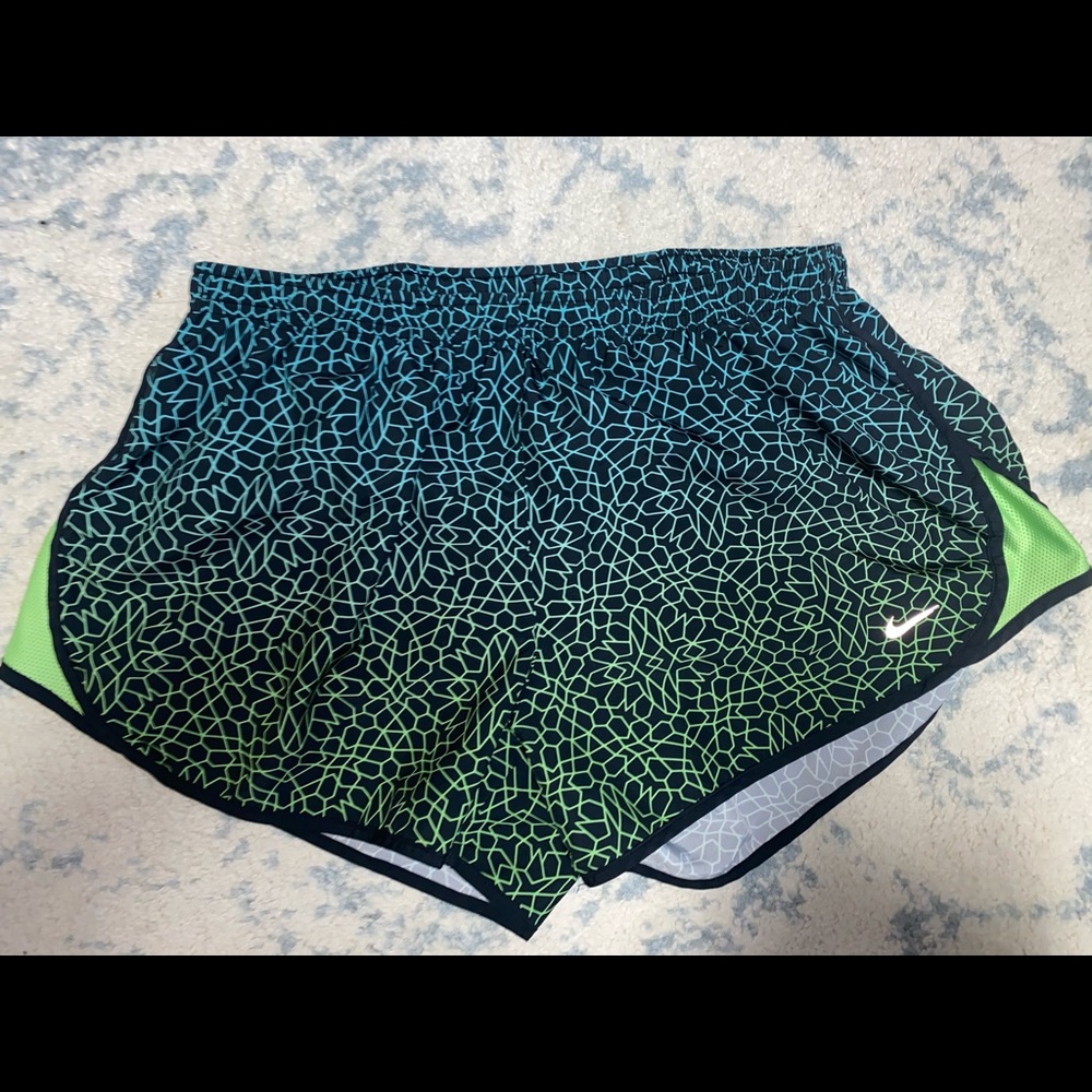 Dry Fit Nike Shorts: Women’s Large